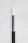 Sakura Brush: 555 Round 12