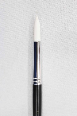 Sakura Brush: 555 Round 12