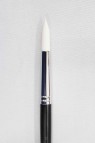 Sakura Brush: 555 Round 12