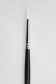 Sakura Brush: 555 Round 2