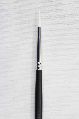 Sakura Brush: 555 Round 2