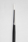 Sakura Brush: 555 Round 3