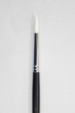 Sakura Brush: 555 Round 5