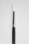Sakura Brush: 555 Round 6