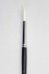 Sakura Brush: 555 Round 7