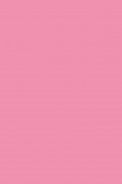 Sakura Acrylic Color: Pink 75ml