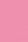 Sakura Acrylic Color: Pink 75ml