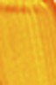 Golden High Flow Acrylic: Fluorescent Orange 30ml