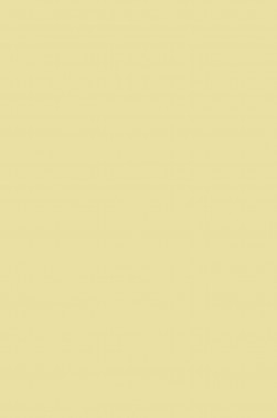 Maries Fine Quality Acrylic: Naples Yellow Hue 210 75ml