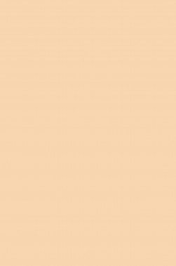 Maries Fine Quality Acrylic: Portrait Tone 219 75ml