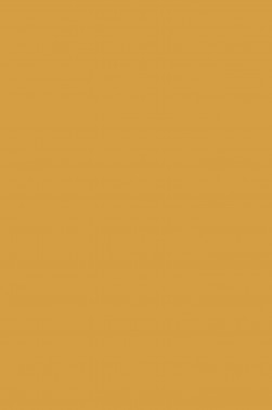 Maries Fine Quality Acrylic: Raw Sienna 601 75ml