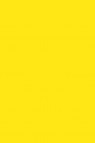 Sakura Acrylic Color: Permanent Yellow 75ml