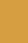 Maries Fine Quality Acrylic: Raw Sienna 601 500ml