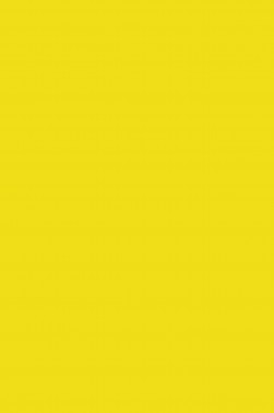 Maries Fine Quality Acrylic: Yellow Pale 216 500ml