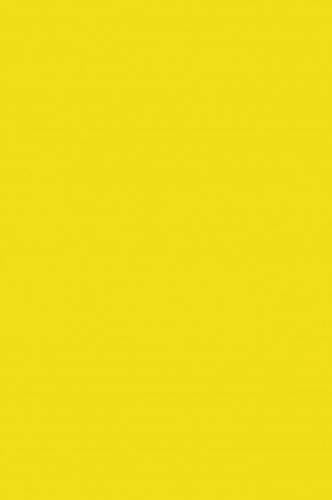 Maries Fine Quality Acrylic: Yellow Pale 216 500ml