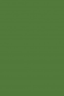 Maries Fabric Color: Sap Green 568 50ml