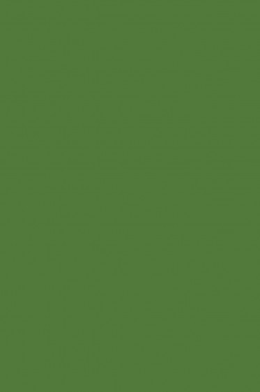 Maries Fabric Color: Sap Green 568 50ml