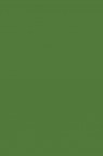 Maries Fabric Color: Sap Green 568 50ml
