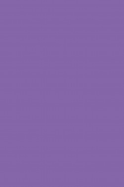 Maries Fabric Color: Violet 439 50ml