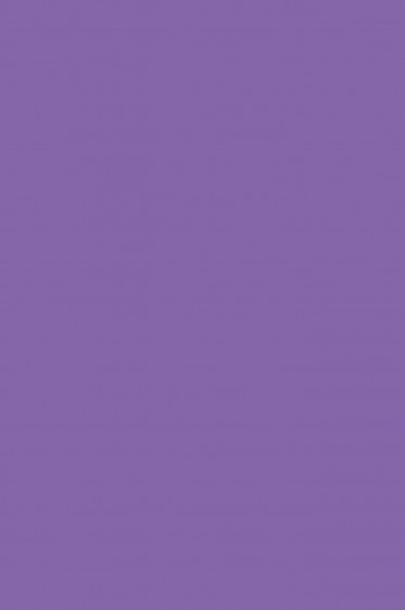 Maries Fabric Color: Violet 439 50ml