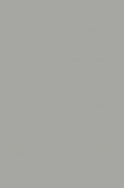 Maries Fabric Color: Grey 798 50ml