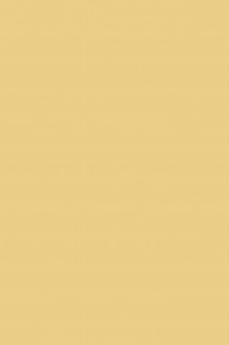 Maries Fabric Color: Gold 132 50ml