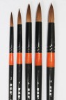 XDT Quality Brush:  950 Kolinsky Pointed Round Set 5's