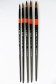 XDT Quality Brush: 950 Kolinsky Pointed Round Set 5's