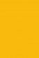 Maries Oil Color: Cadmium Yellow Hue 213 50ml