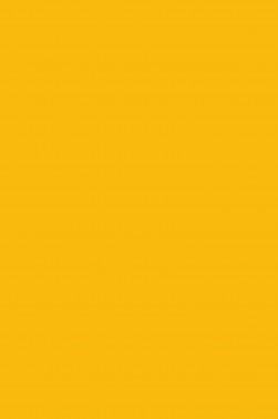 Maries Oil Color: Cadmium Yellow Hue 213 50ml