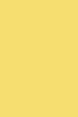 Maries Oil Color: Naples Yellow 210 50ml