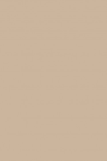 Maries Oil Color: Portrait Tone 219 50ml