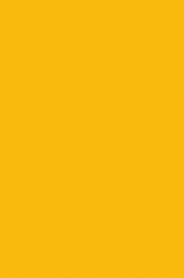 Maries Oil Color: Cadmium Yellow  Hue 213 170ml