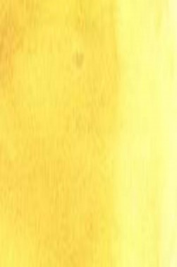 Maries Masters Watercolor: Gamboge Hue 218B 9ml