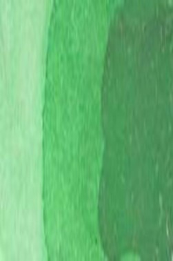 Maries Masters Watercolor: Phthalo Green 558B 9ml