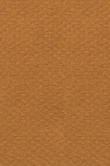 Canson Pastel Paper Mi-Teintes: Bisque 160gsm