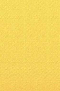 Canson Pastel Paper Mi-Teintes: Canary 160gsm
