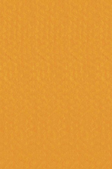 Canson Pastel Paper Mi-Teintes: Cadmium Yellow Deep 160gsm