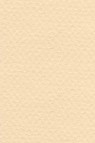 Canson Pastel Paper Mi-Teintes: Cream 160gsm