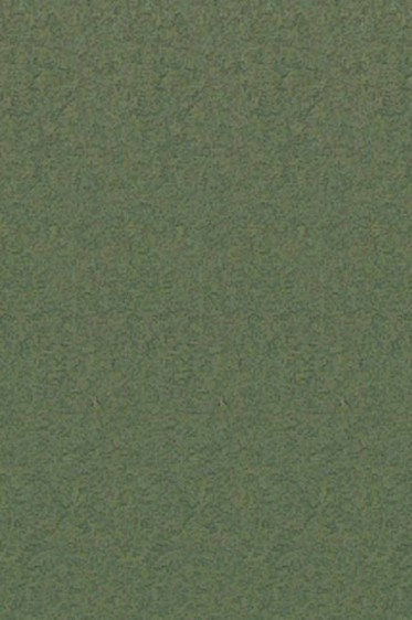 Canson Pastel Paper Mi-Teintes: Ivy 160gsm