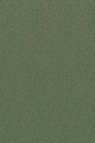 Canson Pastel Paper Mi-Teintes: Ivy 160gsm