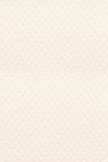 Canson Pastel Paper Mi-Teintes: Lily 160gsm