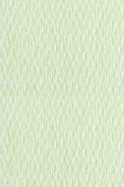 Canson Pastel Paper Mi-Teintes: Lime 160gsm