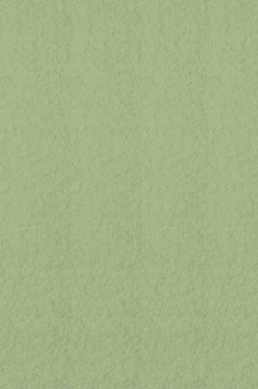 Canson Pastel Paper Mi-Teintes: Light Green 160gsm
