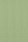Canson Pastel Paper Mi-Teintes: Light Green 160gsm