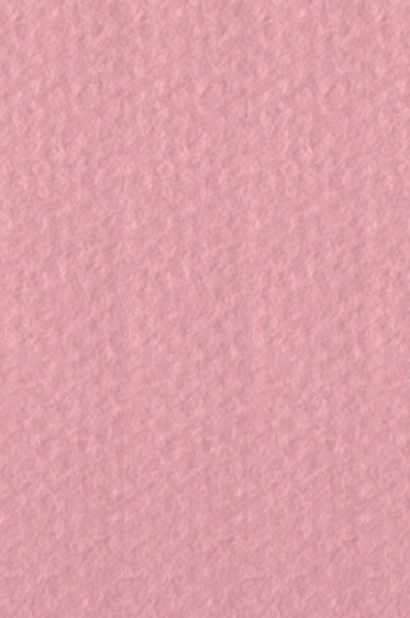 Canson Pastel Paper Mi-Teintes: Orchid 160gsm