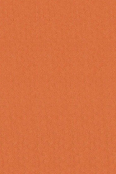 Canson Pastel Paper Mi-Teintes:Orange 160gsm