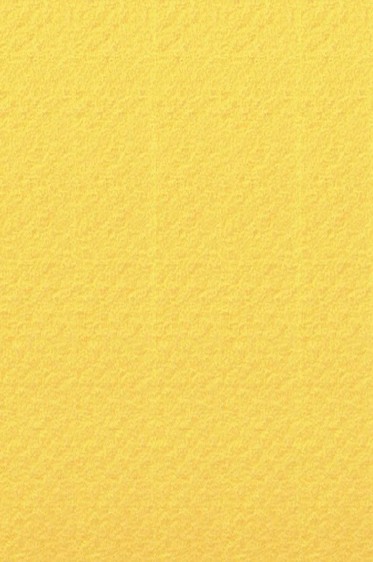 Canson Pastel Paper Mi-Teintes: Canary 160gsm ROLL 60 x 10 meters