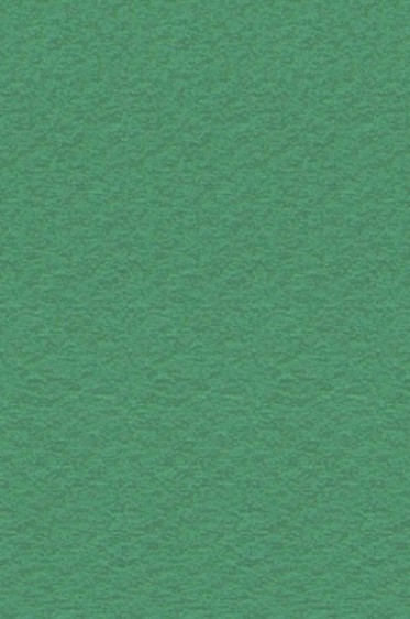 Canson Pastel Paper Mi-Teintes: Viridian 160gsm