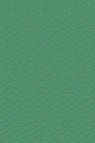 Canson Pastel Paper Mi-Teintes: Viridian 160gsm